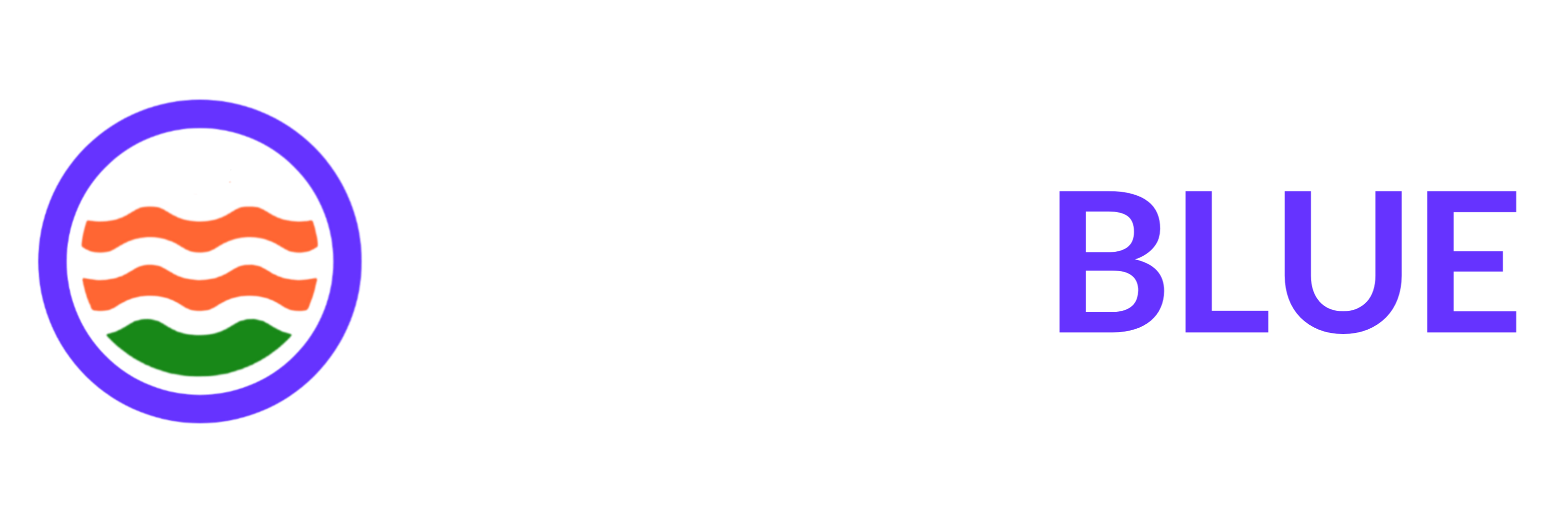 The LEARNBLUE Journal